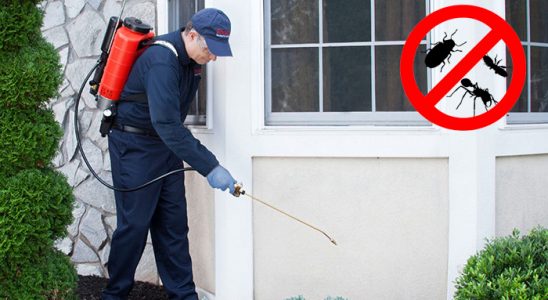 Gülağaç Tahtakurusu İlaçlama böcek ilaçlama ve haşere kontrolü — ilaclama-tr.com